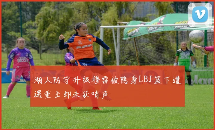 湖人防守升级穆雷被隐身LBJ篮下遭遇重击却未获哨声