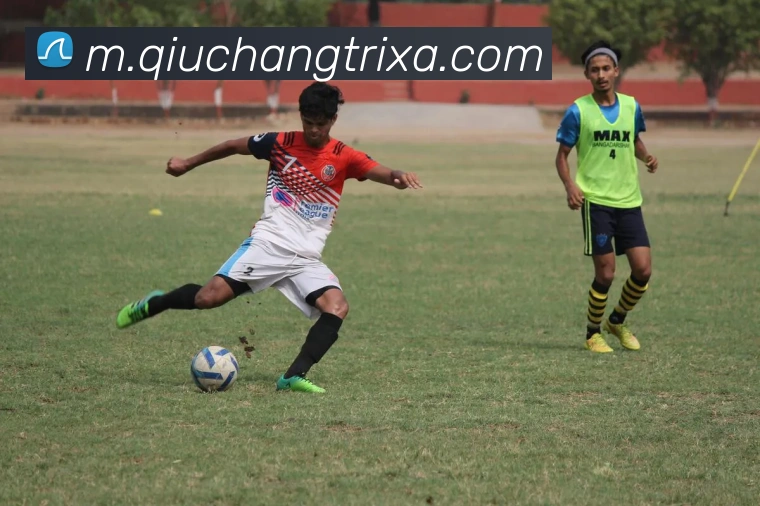 球长体育平台生态图