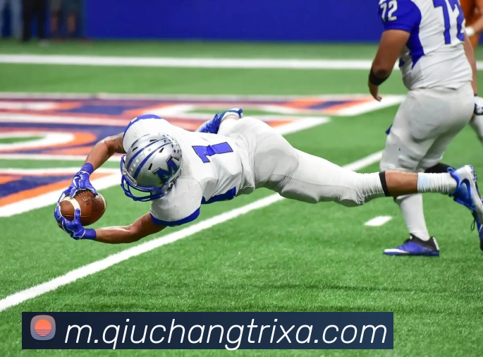 球长体育全站App